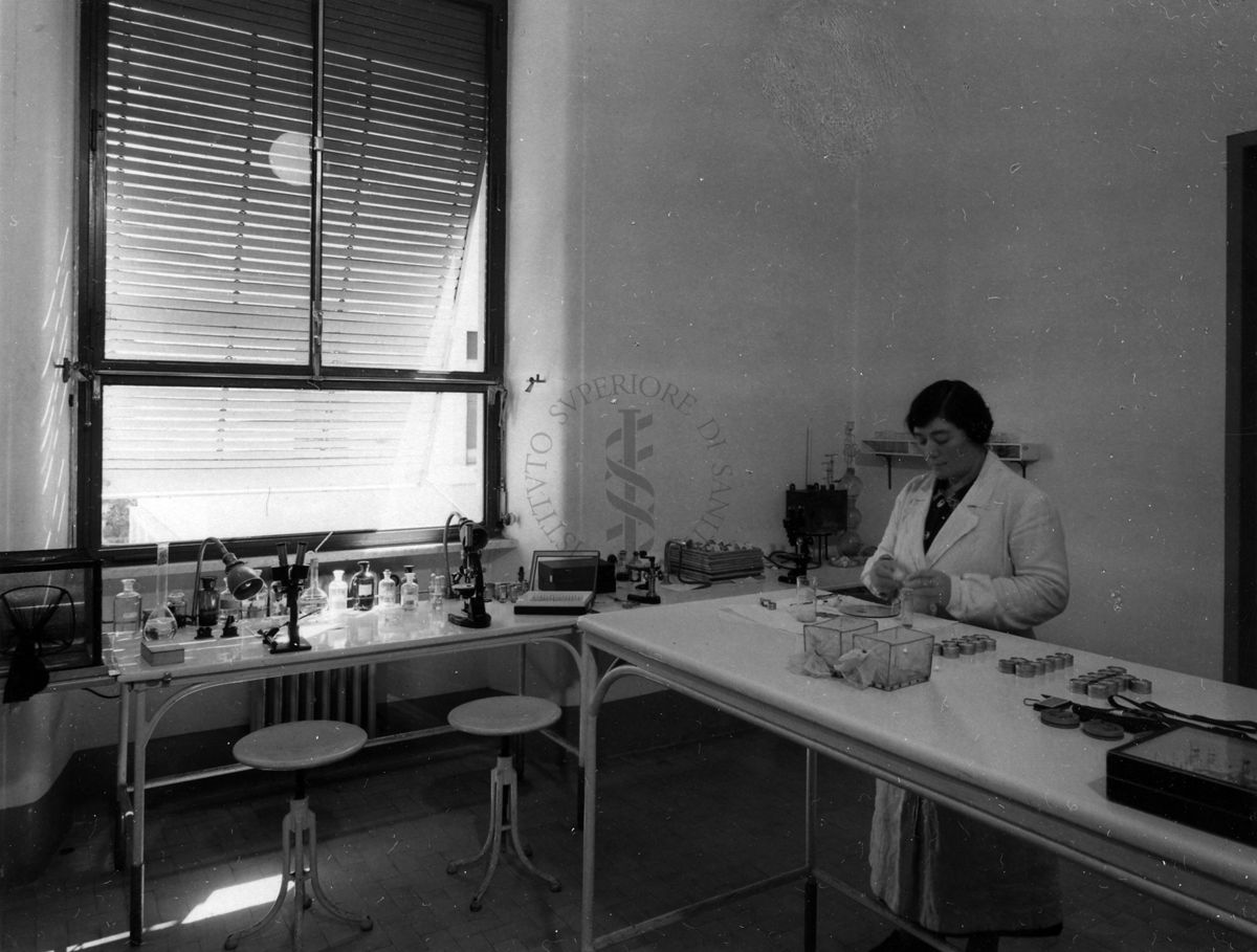 Immagine relativa alla sala di entomologia del Laboratorio di Malariologia dell'Istituto di Sanità Pubblica