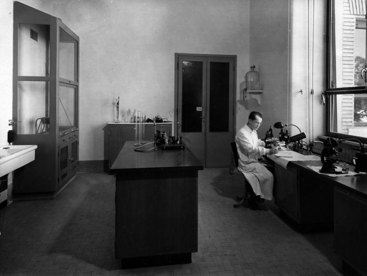 Immagine relativa alla sala di malariologia del Laboratorio di Malariologia dell'Istituto di Sanità Pubblica