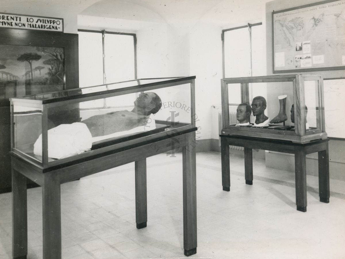 Immagine di alcuni modelli in cera in una sala del museo dell'Istituto di Sanità Pubblica