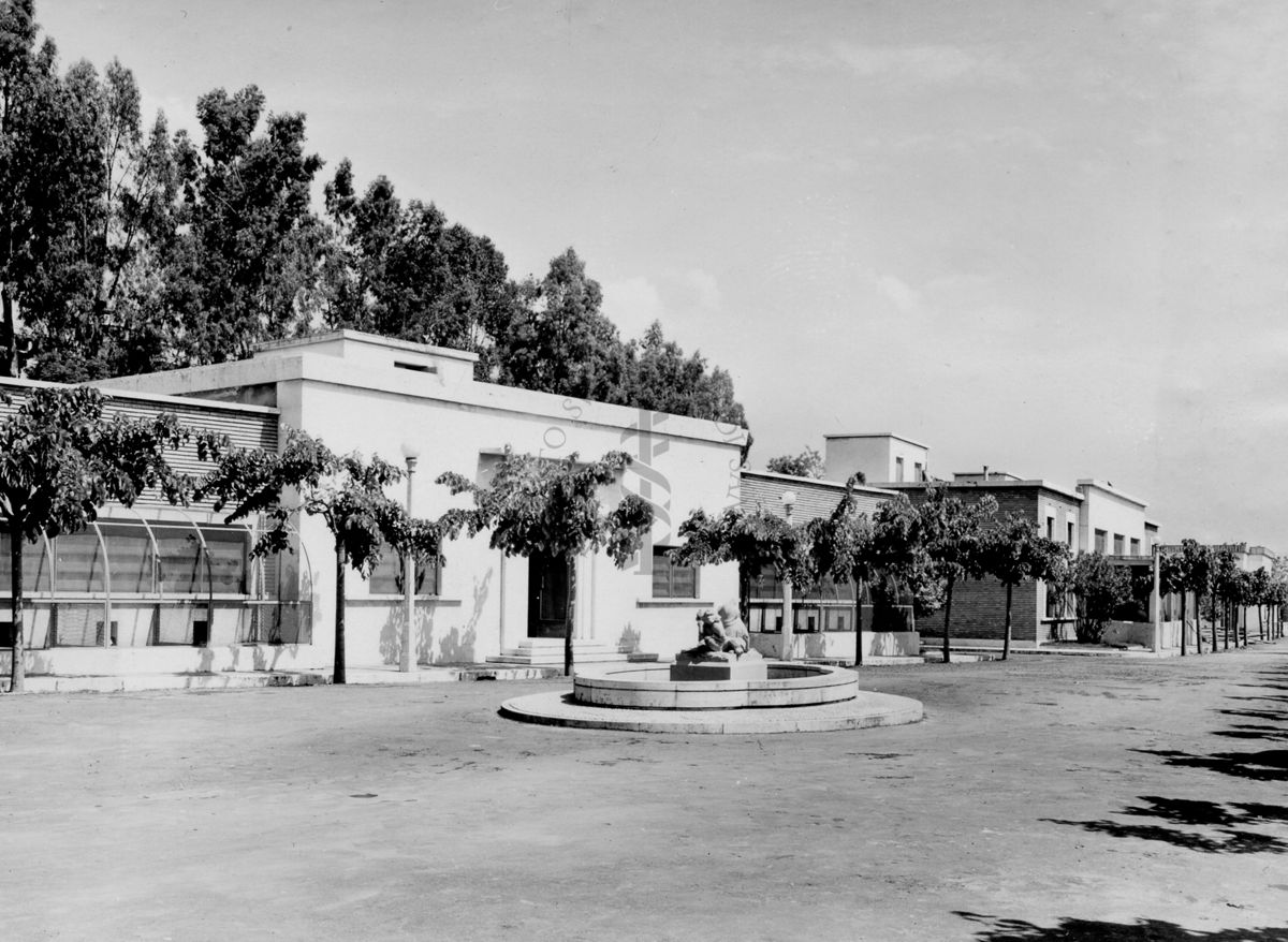 Immagine del viale con alcuni stabulari