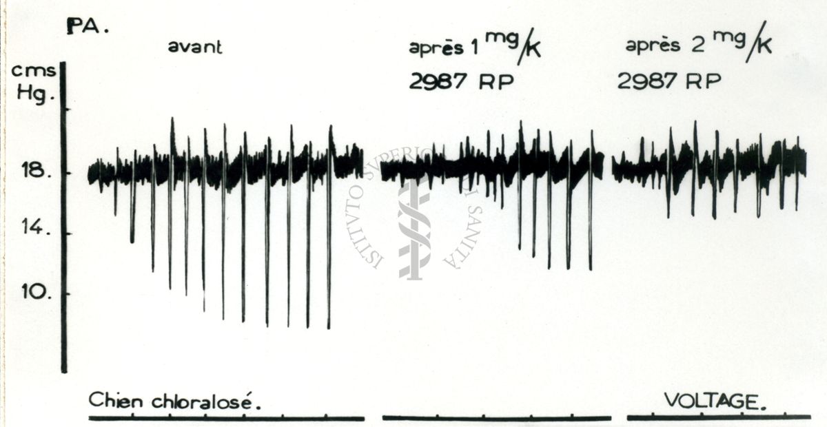 Tracciati grafici degli effetti sulla pressione del cane dei derivati anti nicotinici "Di Parcol". Paralisi del nervo vago