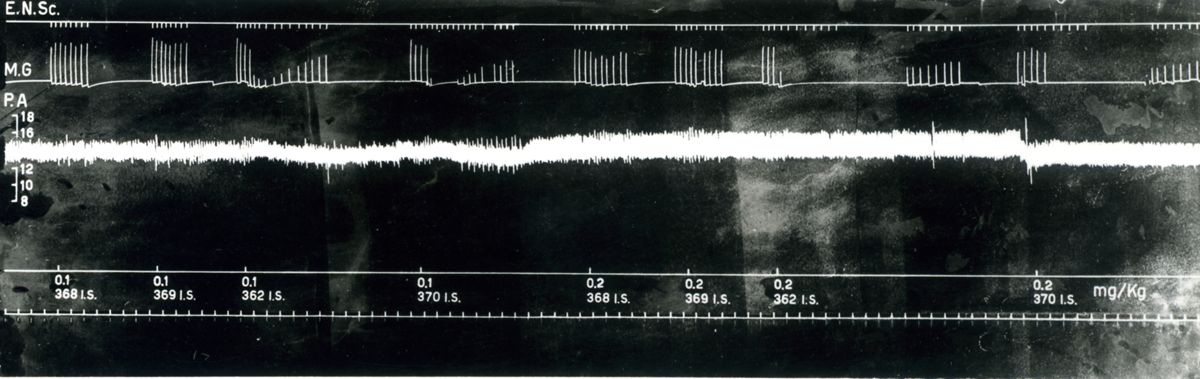 Tracciato riguardante l'azione curarica degli esteri di trialchiletanolammonio dell'acido succinico