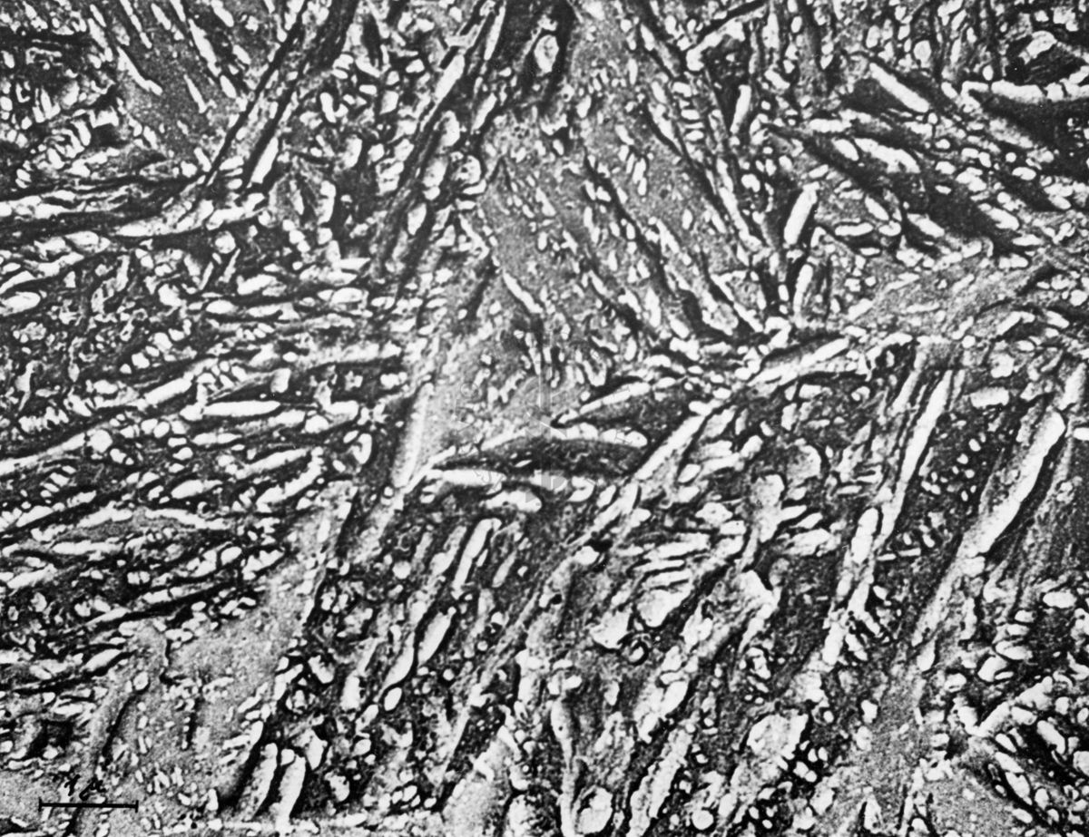 Osservazioni al microscopio elettronico a trasmissione della replica della superficie di un metallo. La deposizione ad un angolo di 45° di atomi pesanti produce la cosiddetta "ombratura" che mette in risalto le strutture di superficie ed offre una immagine in rilievo.