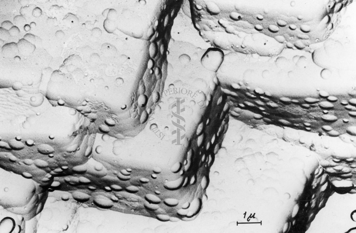 Osservazioni al microscopio elettronico a trasmissione della replica della superficie di un metallo. La deposizione ad un angolo di 45° di atomi pesanti produce la cosiddetta "ombratura" che mette in risalto le strutture di superficie ed offre una immagine in rilievo.