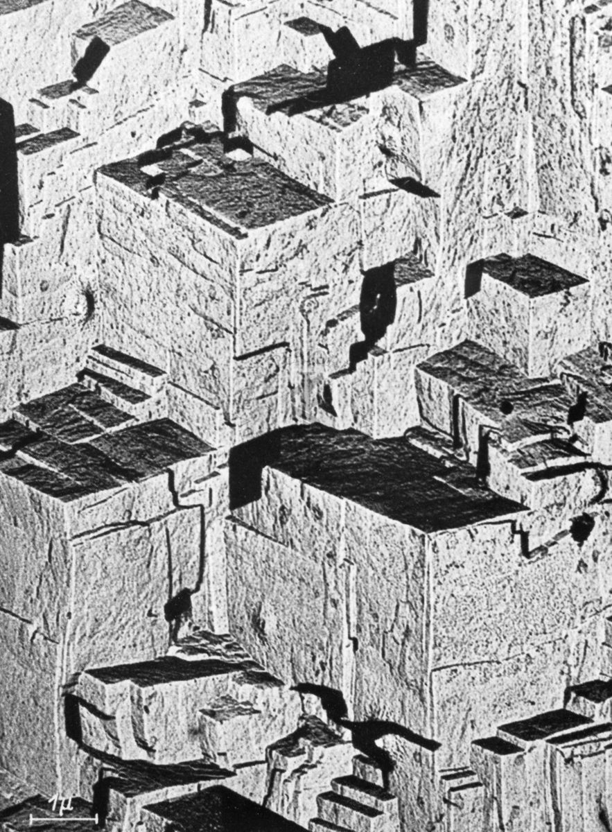 Osservazioni al microscopio elettronico a trasmissione della replica della superficie di un metallo. La deposizione ad un angolo di 45° di atomi pesanti produce la cosiddetta "ombratura" che mette in risalto le strutture di superficie ed offre una immagine in rilievo. E' evidente la natura cristallina di tale metallo.