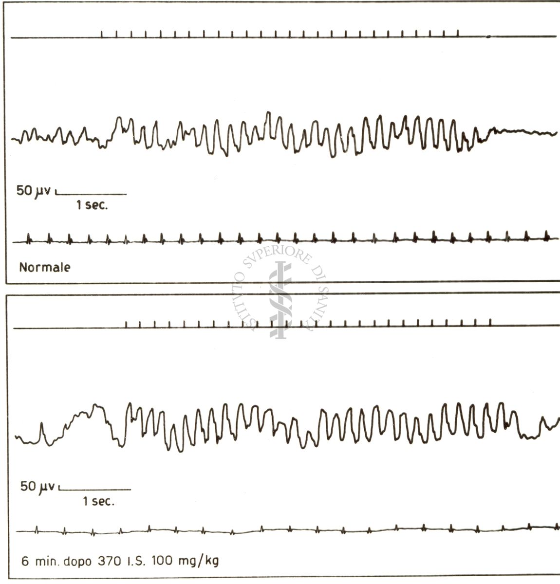 Risposta dell'elettroencefalogramma di coniglio alla stimolazione luminosa prima e dopo il 370 I.S.