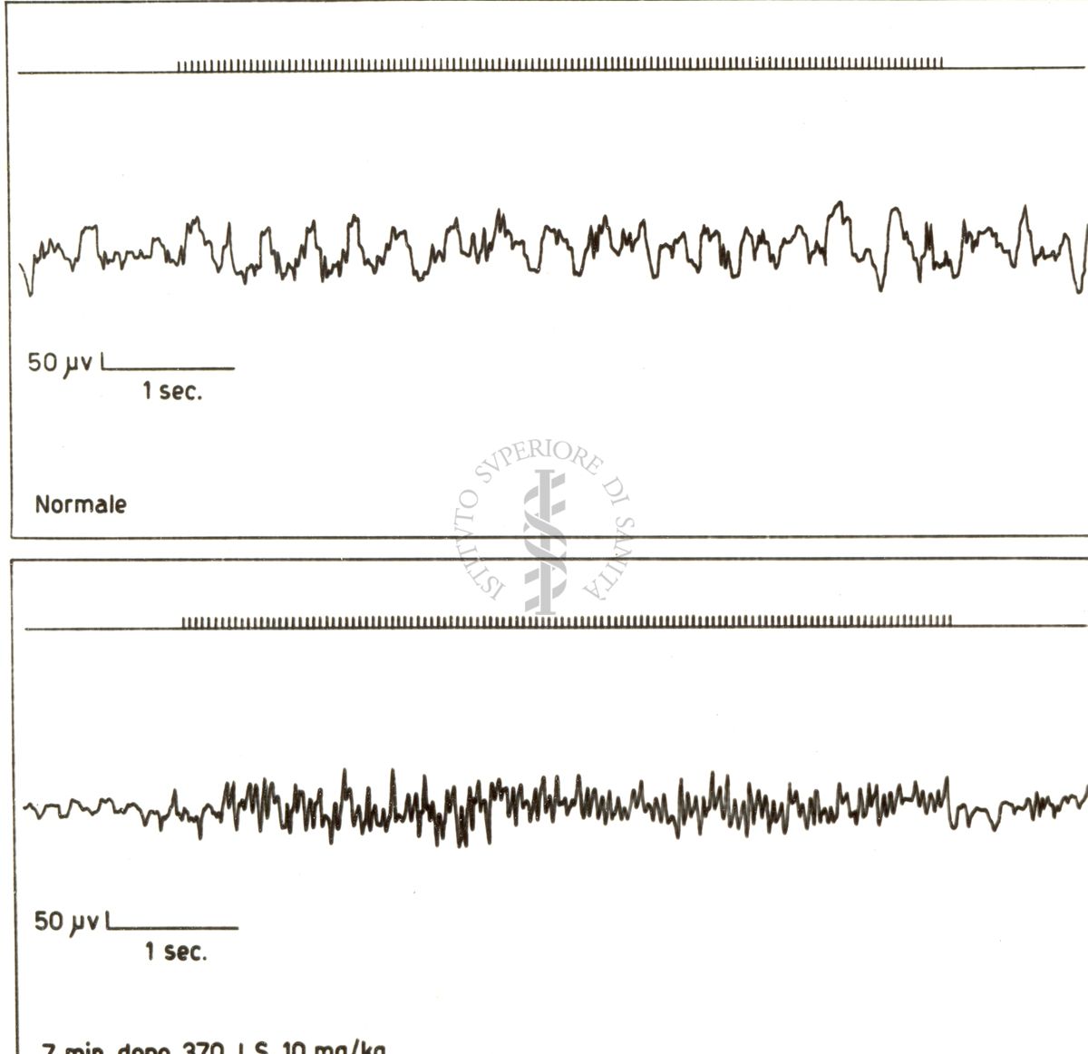 Elettroencefalogramma di coniglio prima e dopo il 370 I.S.