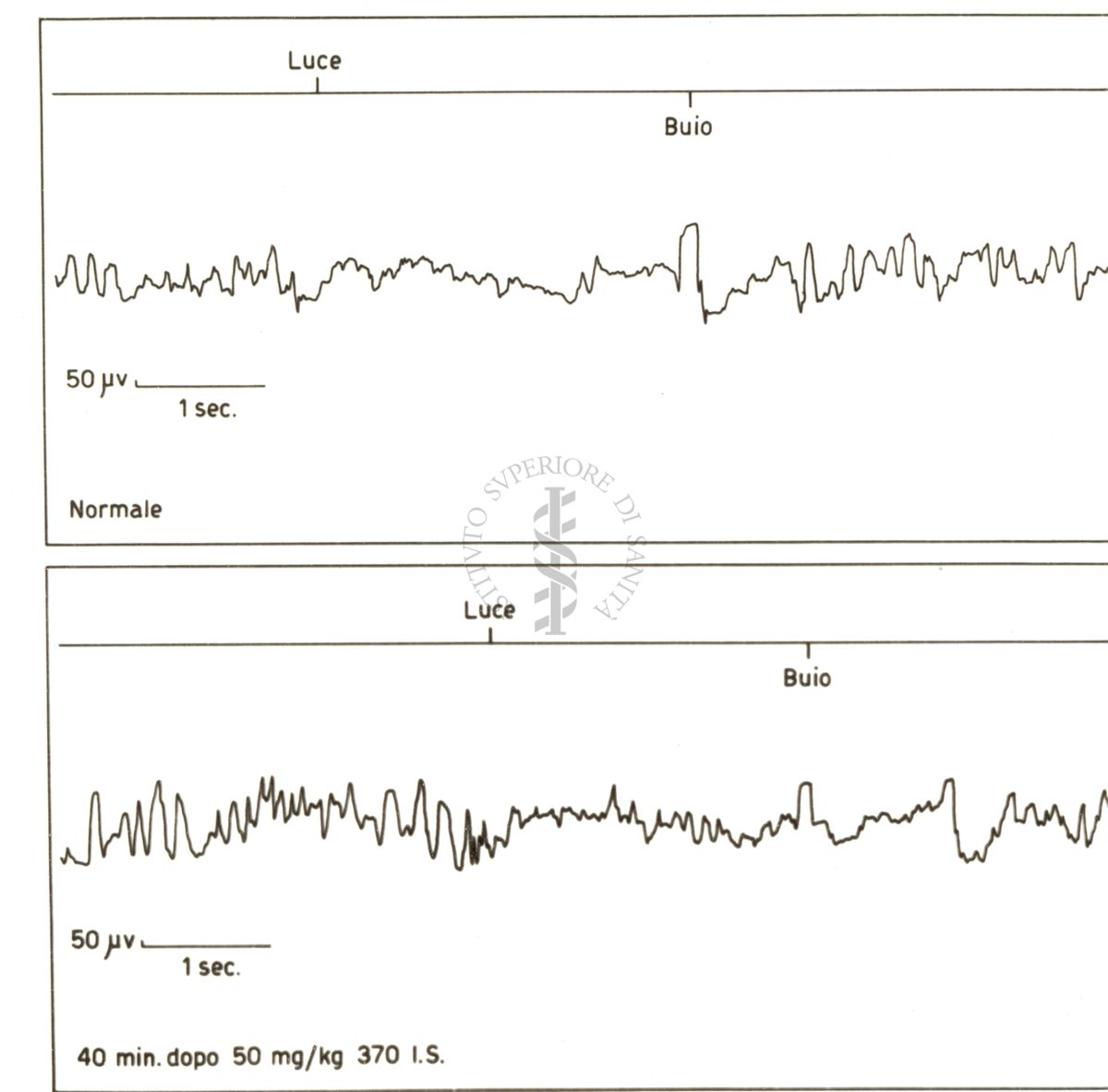 Elettroencefalogramma di coniglio prima e dopo il 370 I.S.