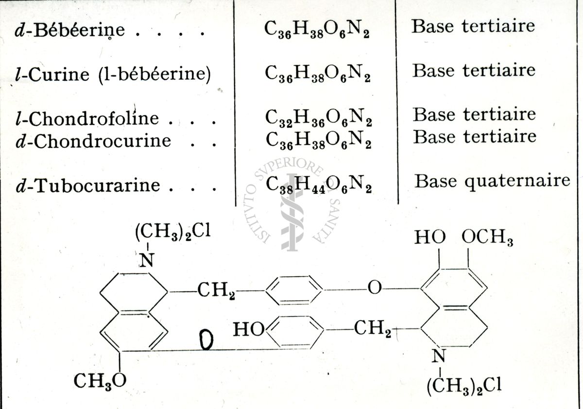 Formule chimiche degli Alcaloidi dei Menispermacea. B: Tipo Bebeerina