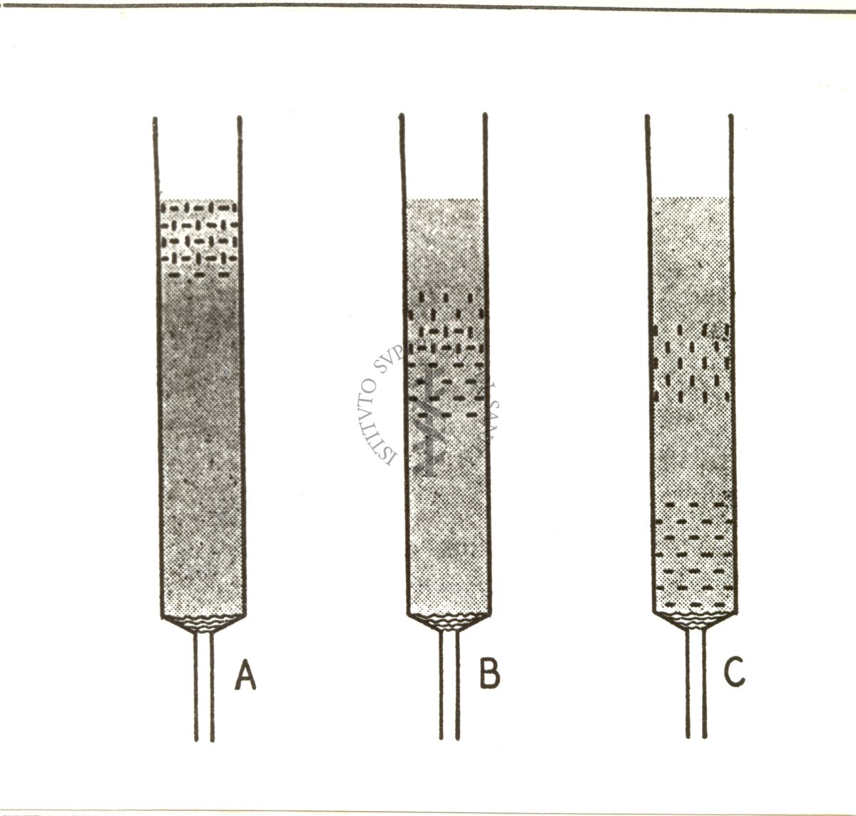 Diverse fasi di rappresentazione della cromatografia