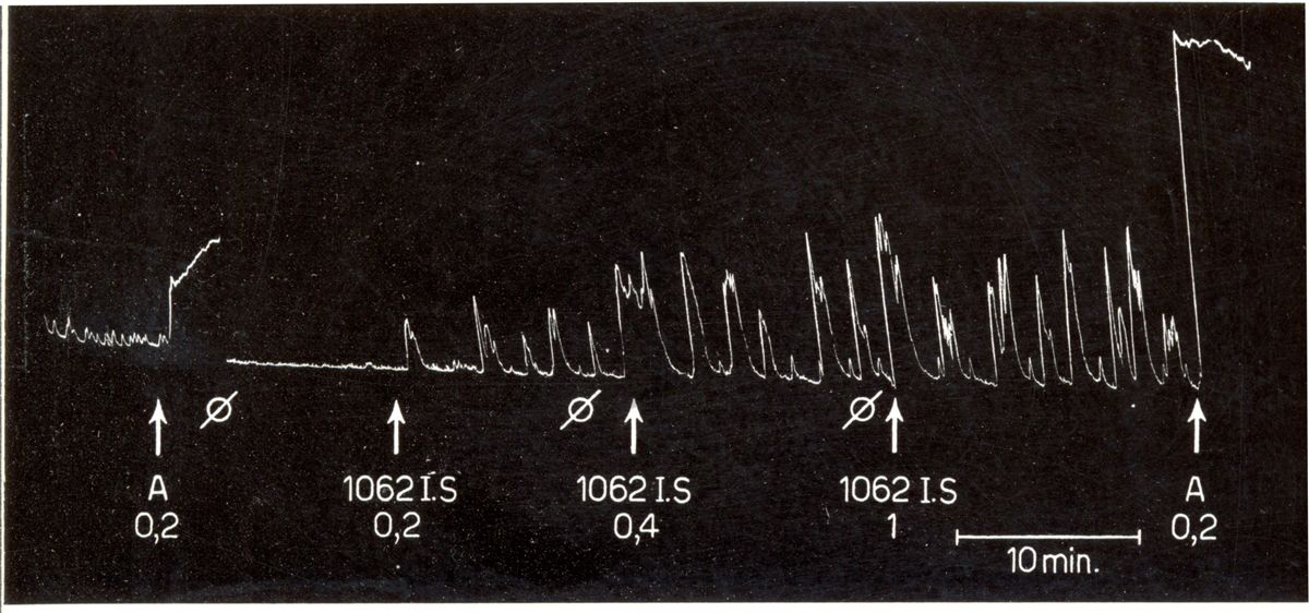 Ossitocici di sintesi - utero isolato di coniglio