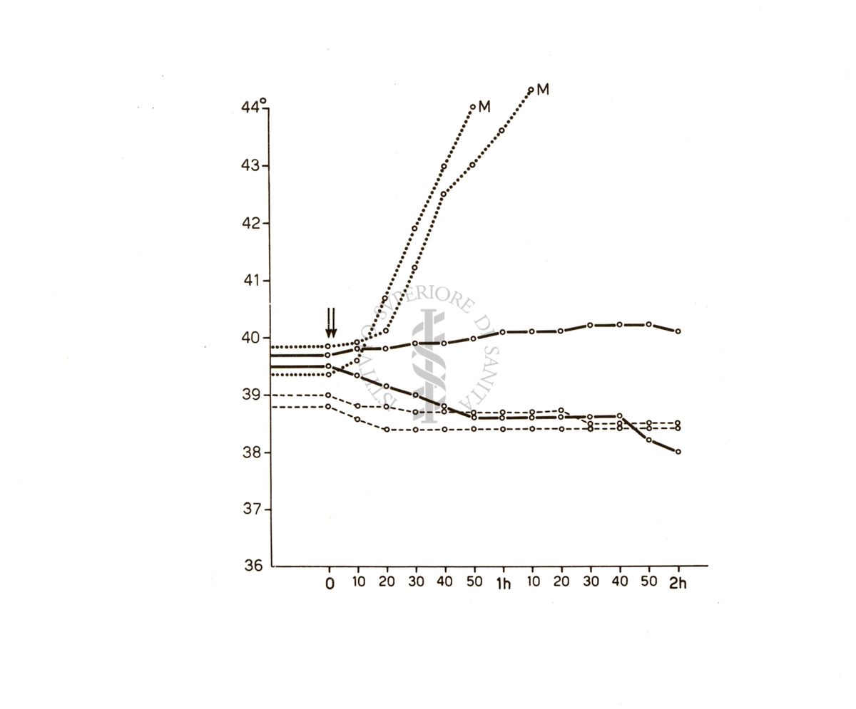 Ergotamminici di sintesi - azione sulle temperature del coniglio delle etil-tetraidro- naftilammina