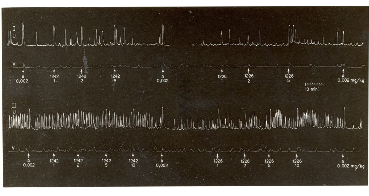 Derivati oxitocici - effetti comparativi del derivato 1226 I.S. e del suo isonumero 1242 I.S. nell'utero in situ di coniglio