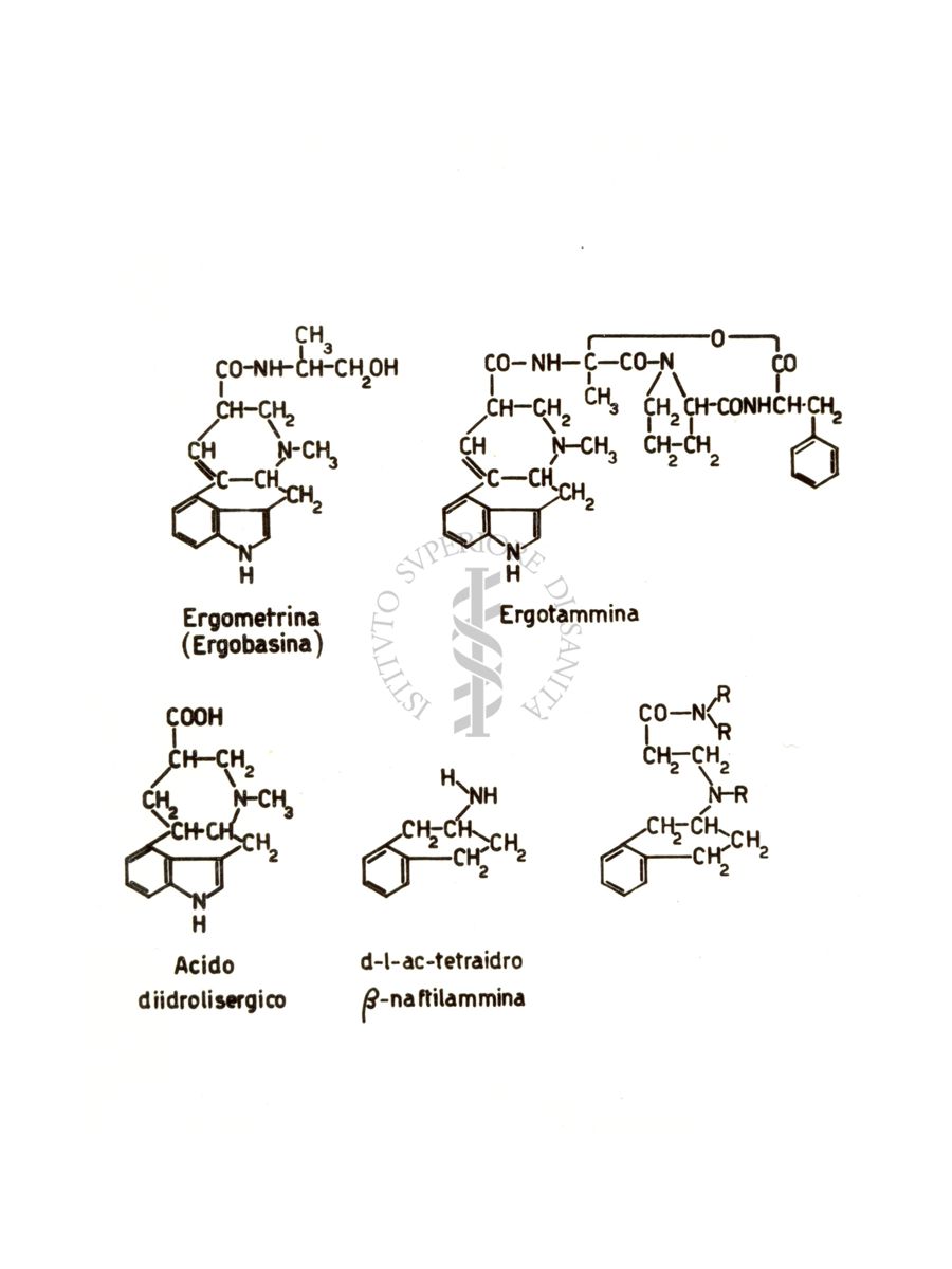 Farmaci simpatolitici - rapporti di struttura fra gli alcaloidi dell'ergotammine e i derivati sintetici della tetraidro-naftilammina