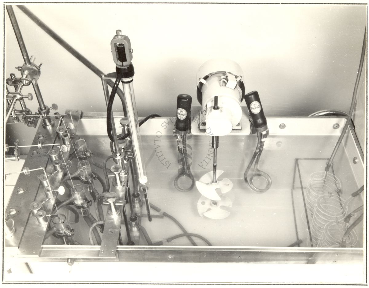 Dettaglio dell'apparecchio di Jacquet per le registrazioni dei movimenti di organi isolati