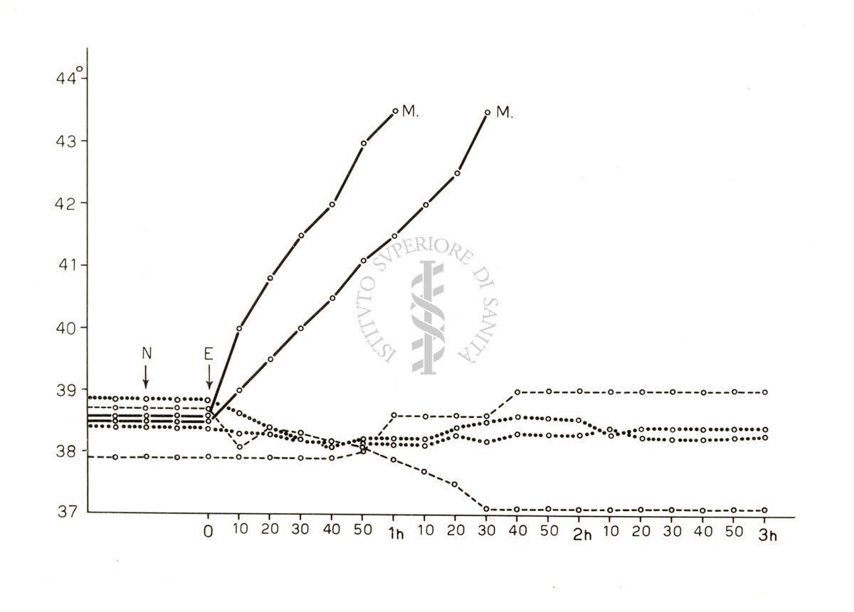 Diagramma riguardante l'azione iperemizzante di Etil - Thn