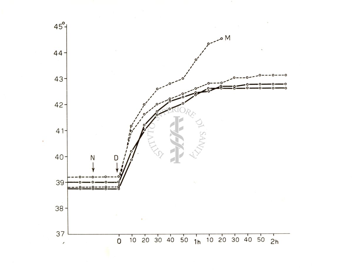 Diagramma riguardante l'azione iperemizzante di Etil - Thn