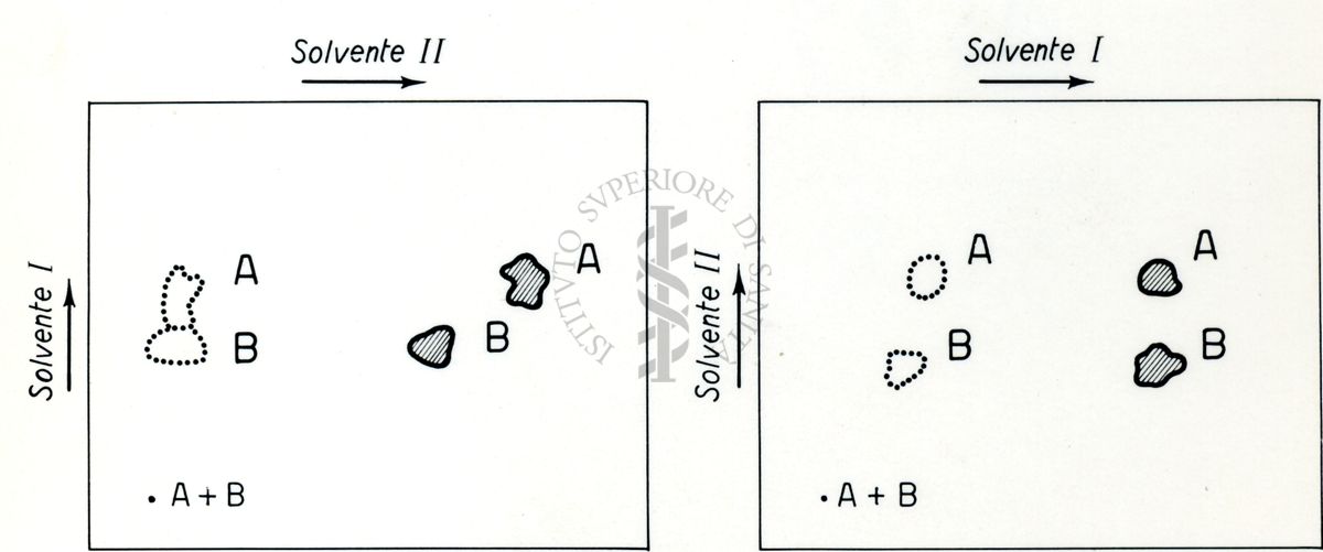 Grafico riguardante la costituzione di sostanze organiche