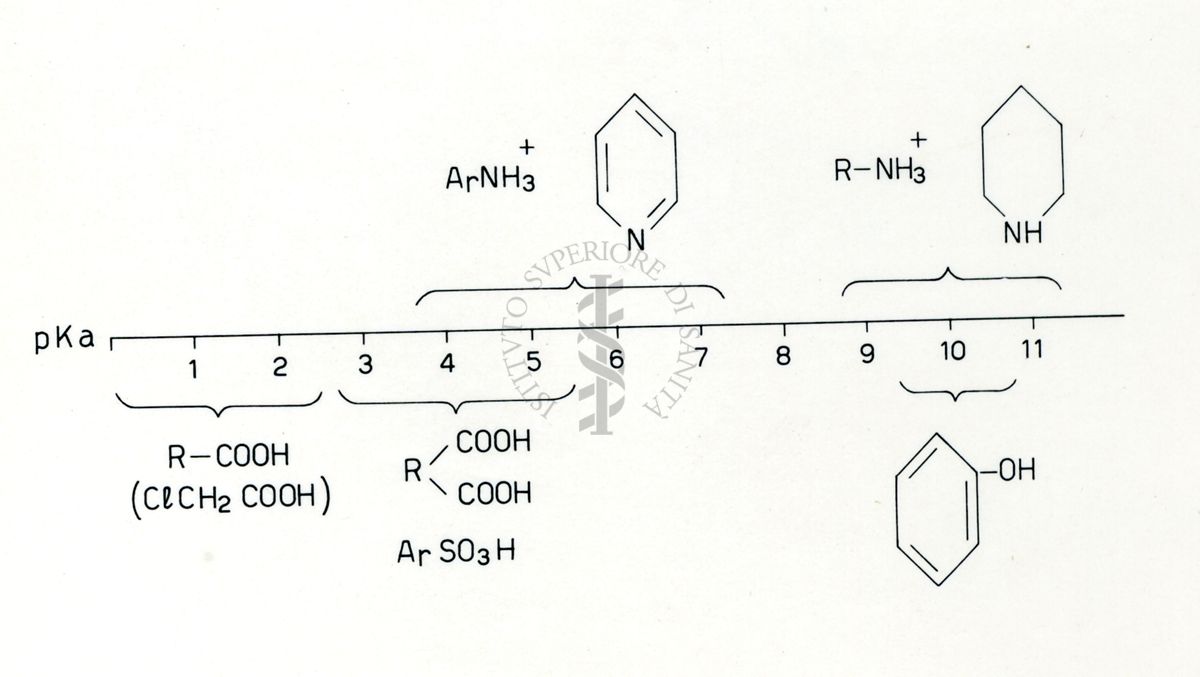 Formule riguardanti la costituzione di sostanze organiche