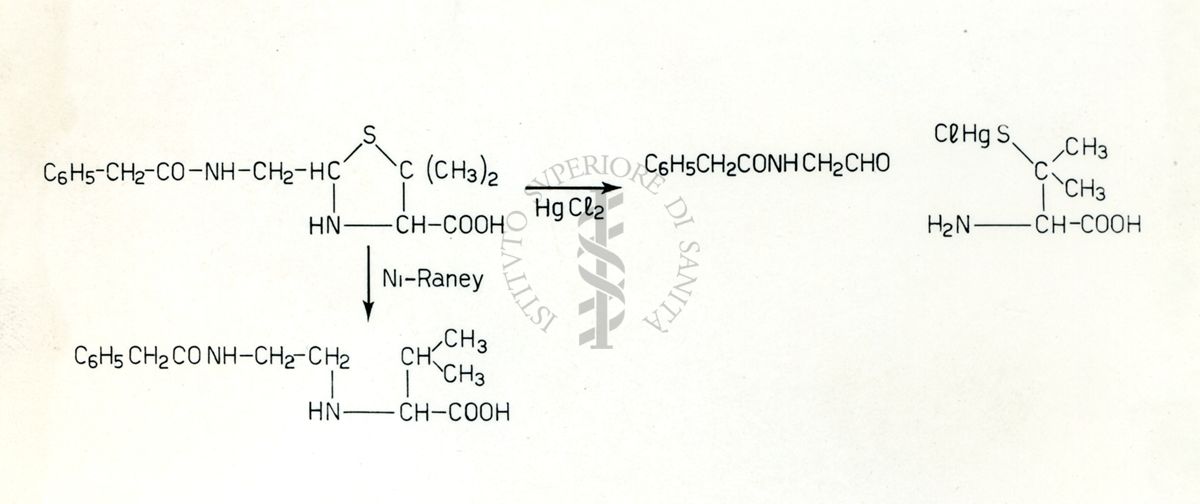 Formule riguardanti la costituzione di sostanze organiche