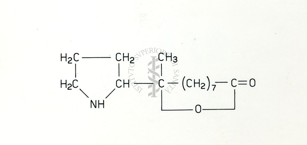 Formule riguardanti la costituzione di sostanze organiche