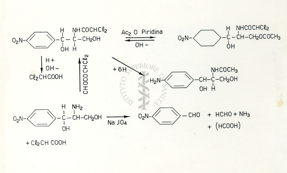 Formule riguardanti la costituzione di sostanze organiche