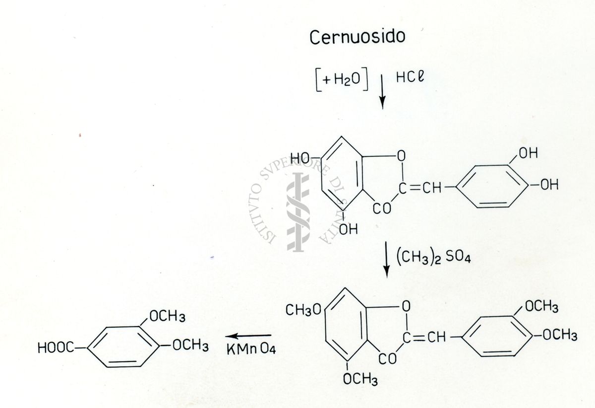 Formule riguardanti la costituzione di sostanze organiche