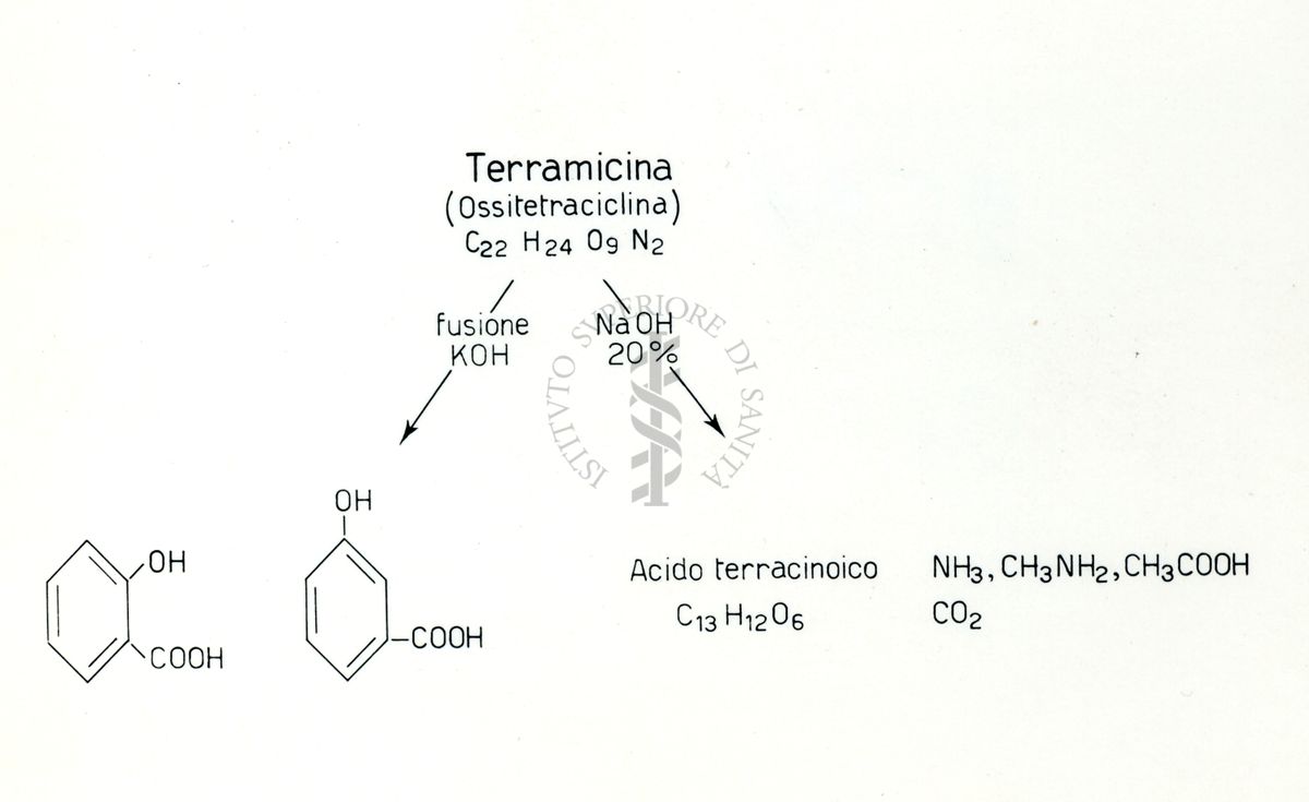 Formule riguardanti la costituzione di sostanze organiche