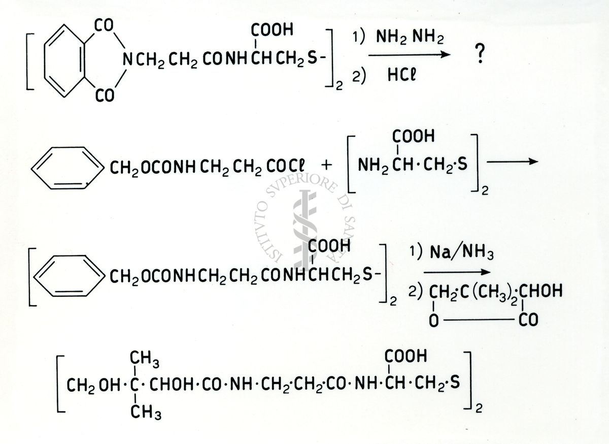 Chimica dell'acido Pantotenico