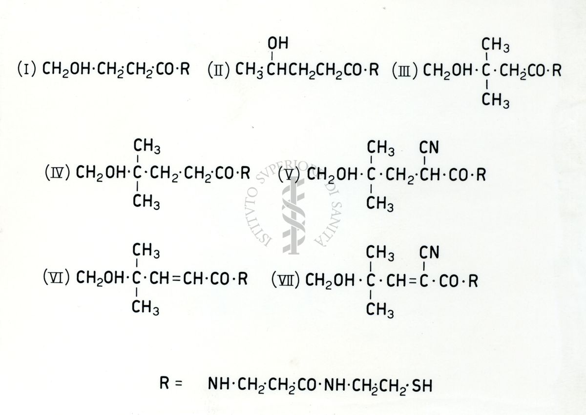 Chimica dell'acido Pantotenico