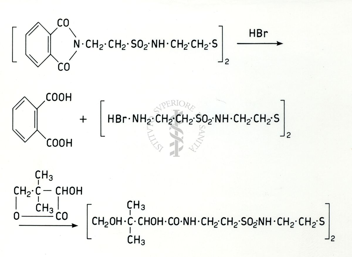 Chimica dell'acido Pantotenico