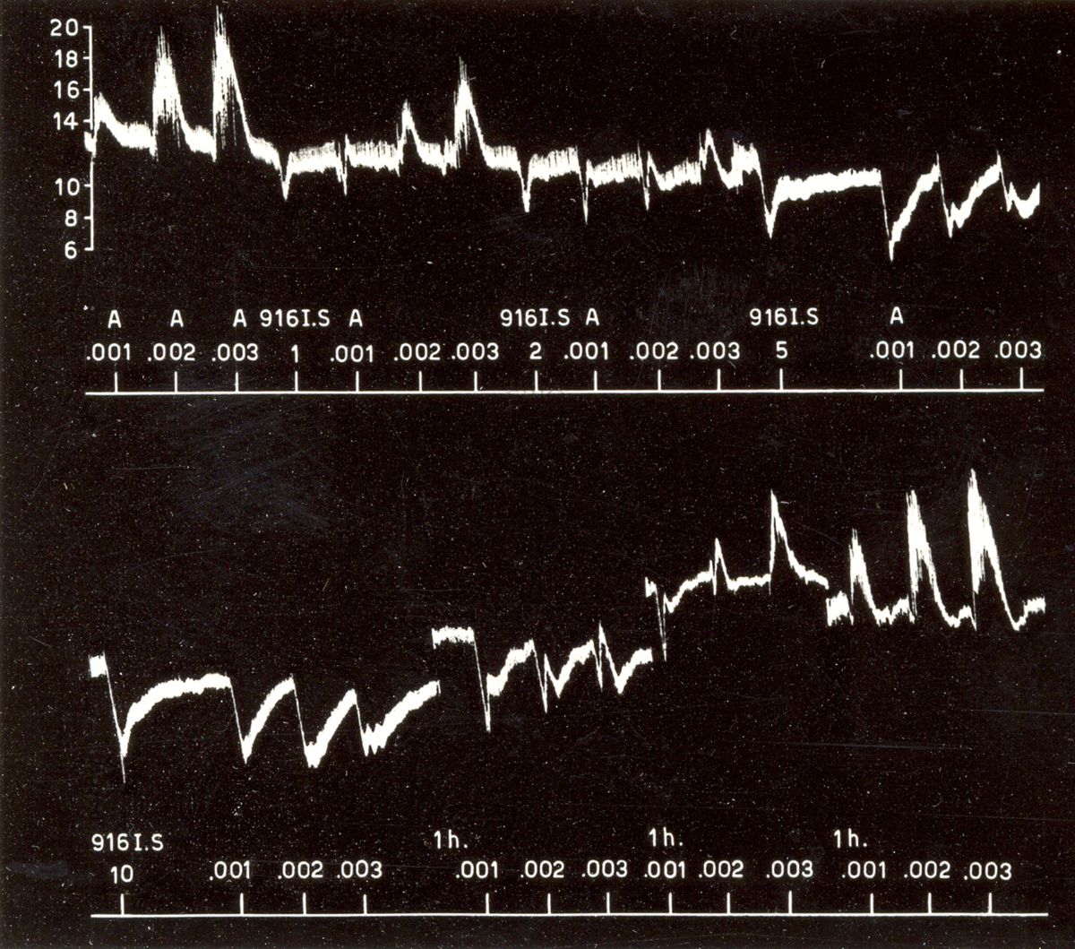 Grafici raffiguranti l'azione sulla pressione arteriosa del cane da simpatolitici di sintesi (derivati dell'ergotammina)