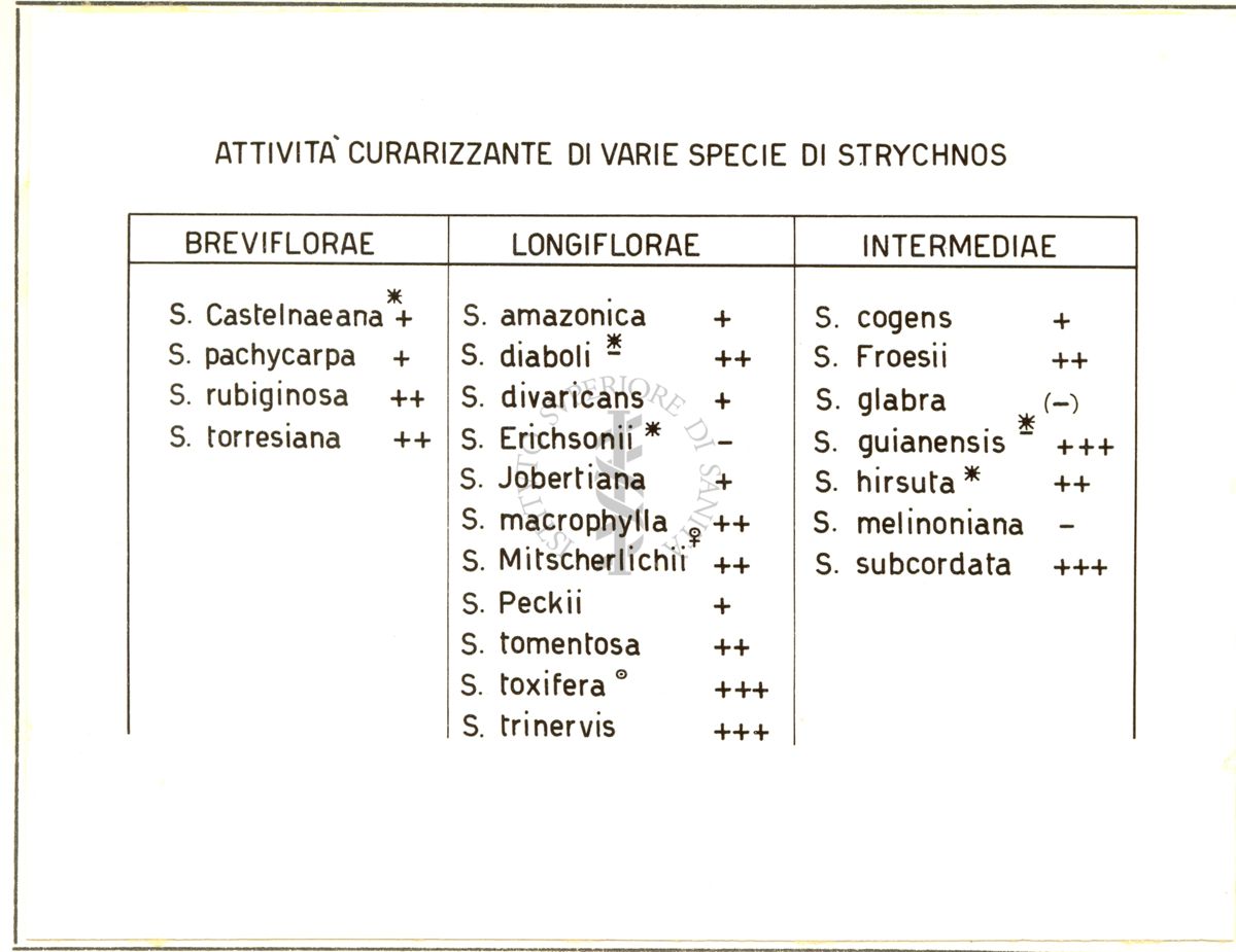 Formule sui curari