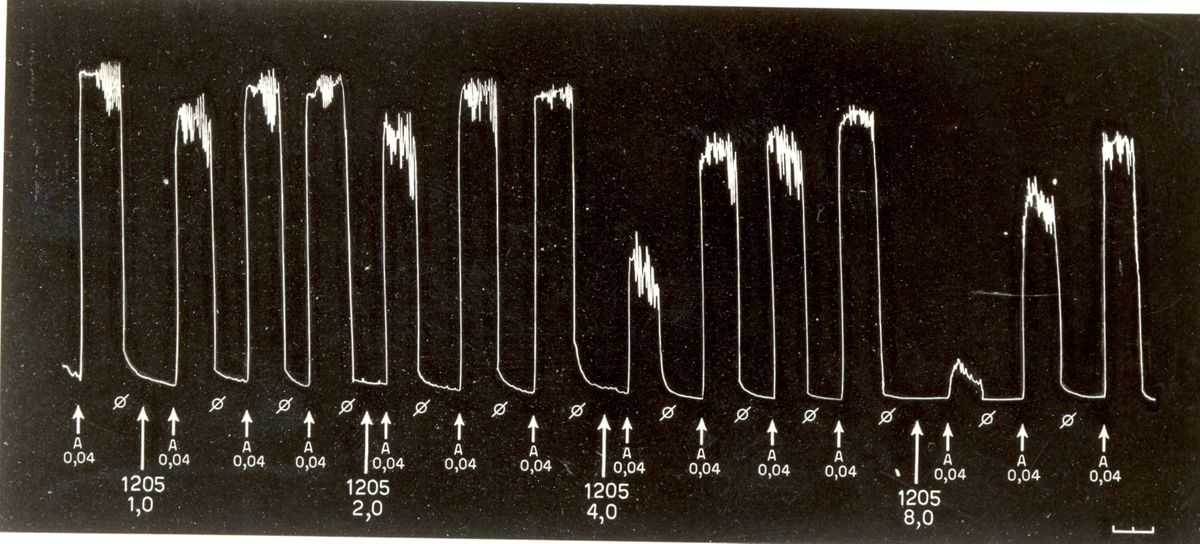 Tabelle e grafici riguardanti l'azione spasmotica del 1205 I.S. e del 1530 I.S.