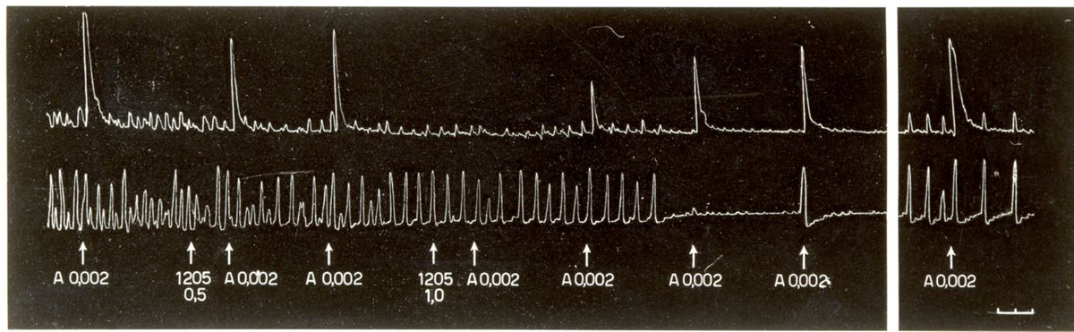 Tabelle e grafici riguardanti l'azione spasmotica del 1205 I.S. e del 1530 I.S.