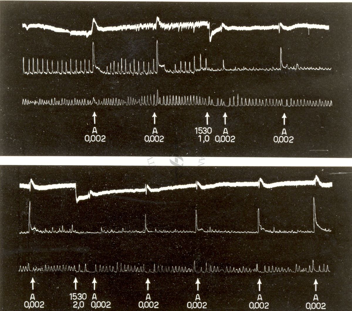 Tabelle e grafici riguardanti l'azione spasmotica del 1205 I.S. e del 1530 I.S.