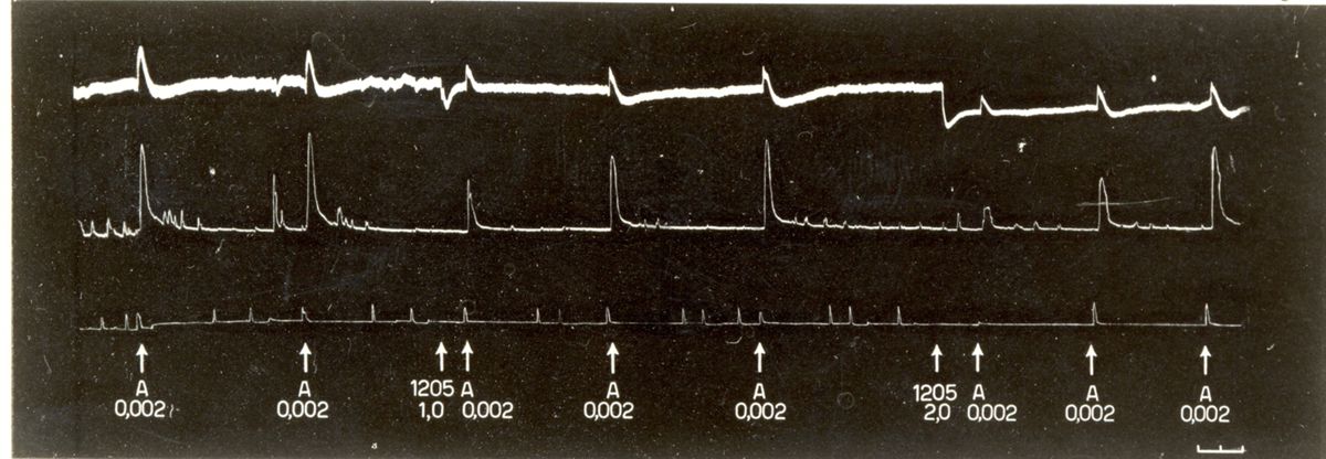 Tabelle e grafici riguardanti l'azione spasmotica del 1205 I.S. e del 1530 I.S.