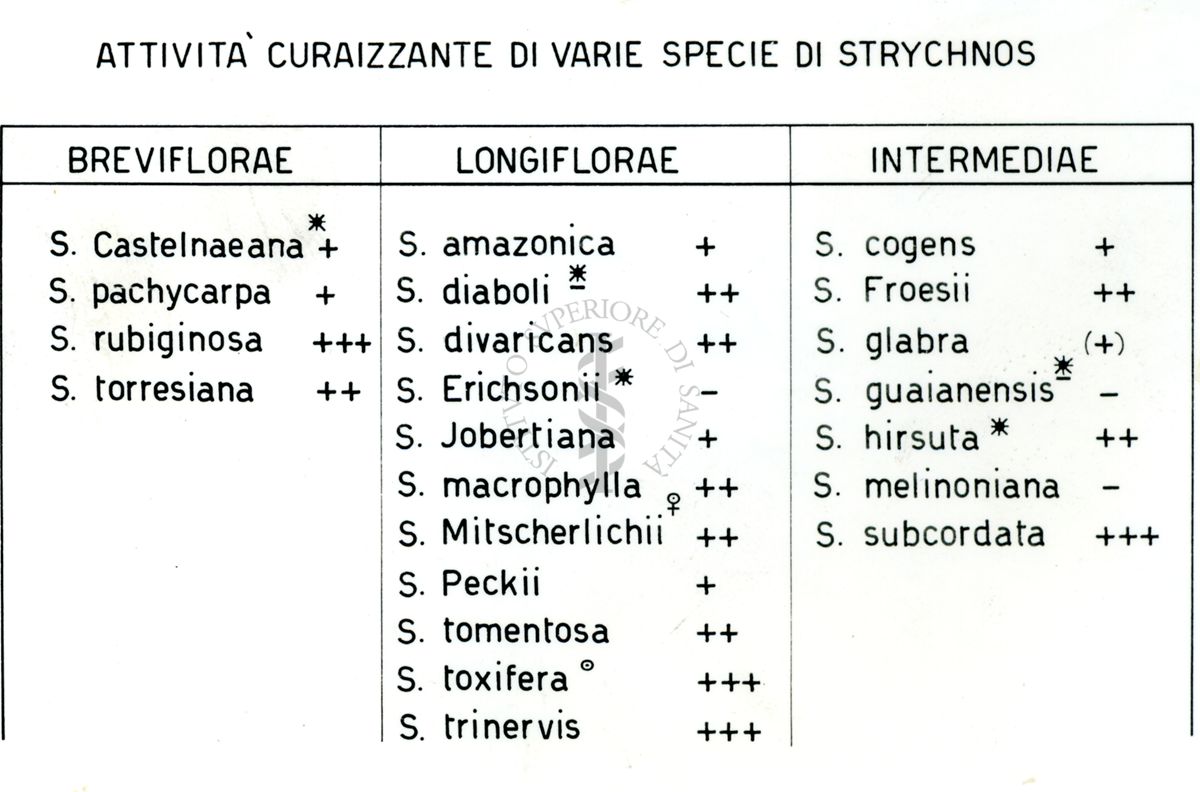 Lavoro Strychnos