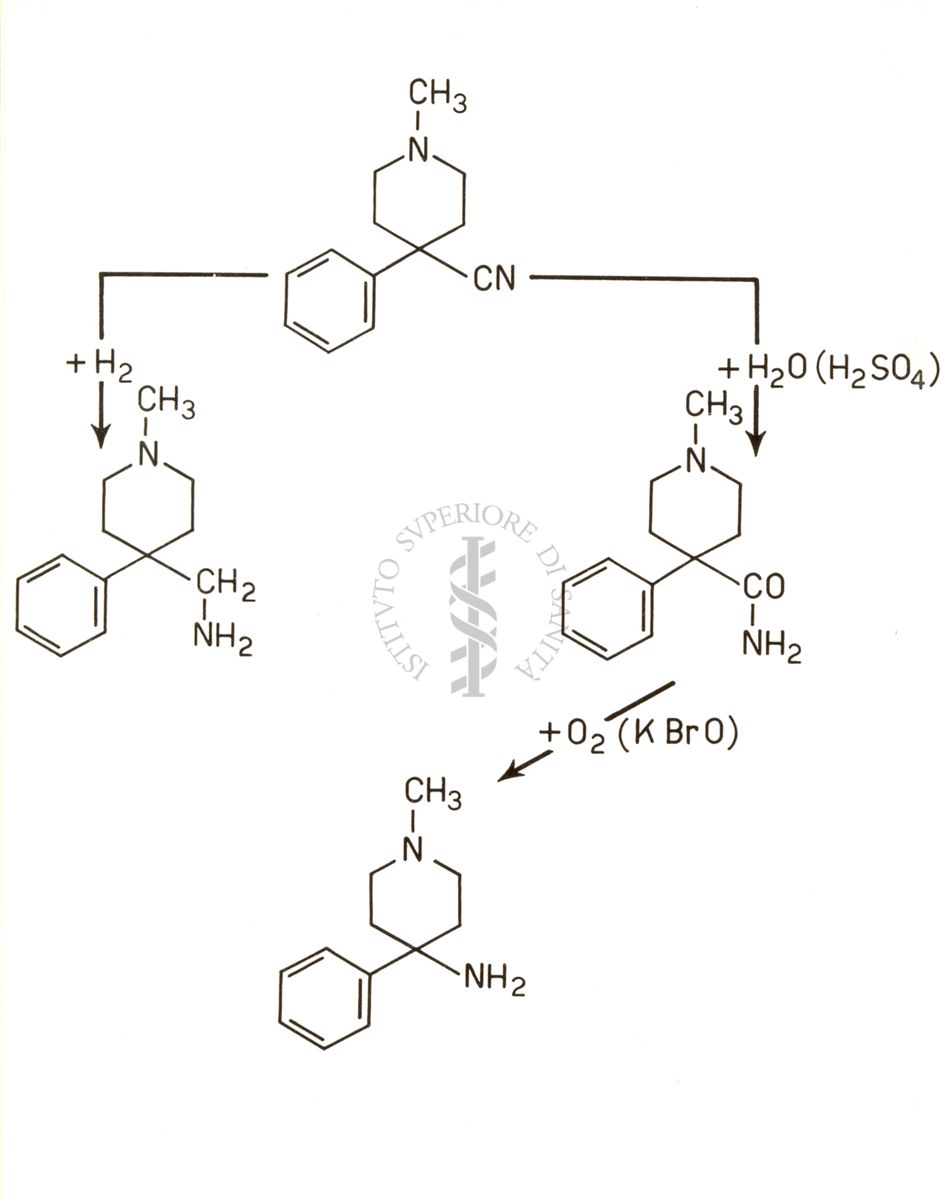 Lavoro B - Alaninammidi 4 - fenil - N - metil piperidina