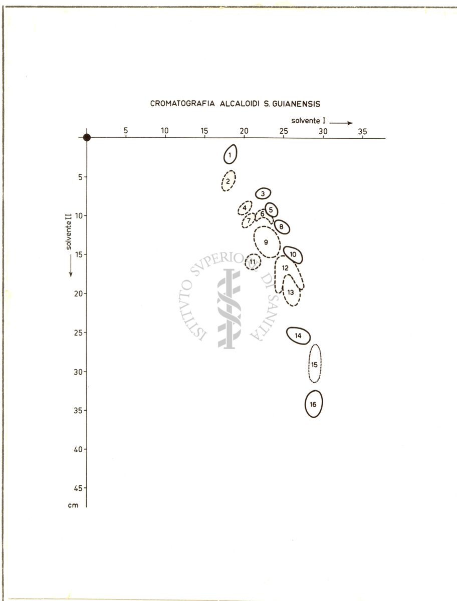 Cromatografia Alcaloidi S. Guianensis