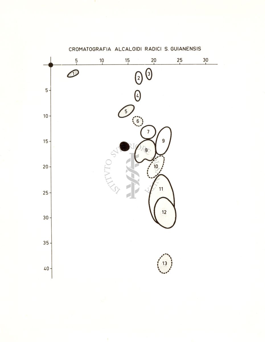 Cromatografia Alcaloidi Radici S. Guianensis