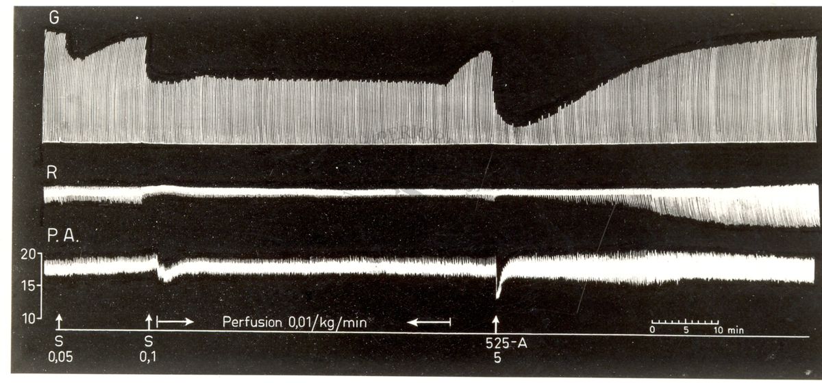 Potenziamento del prodotto S.K.F. 525 A dell'attività curarizzante dei curari di sintesi