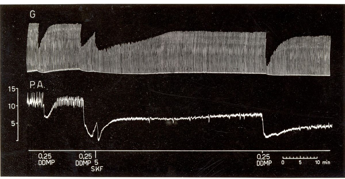 Potenziamento del prodotto S.K.F. 525 A dell'attività curarizzante dei curari di sintesi