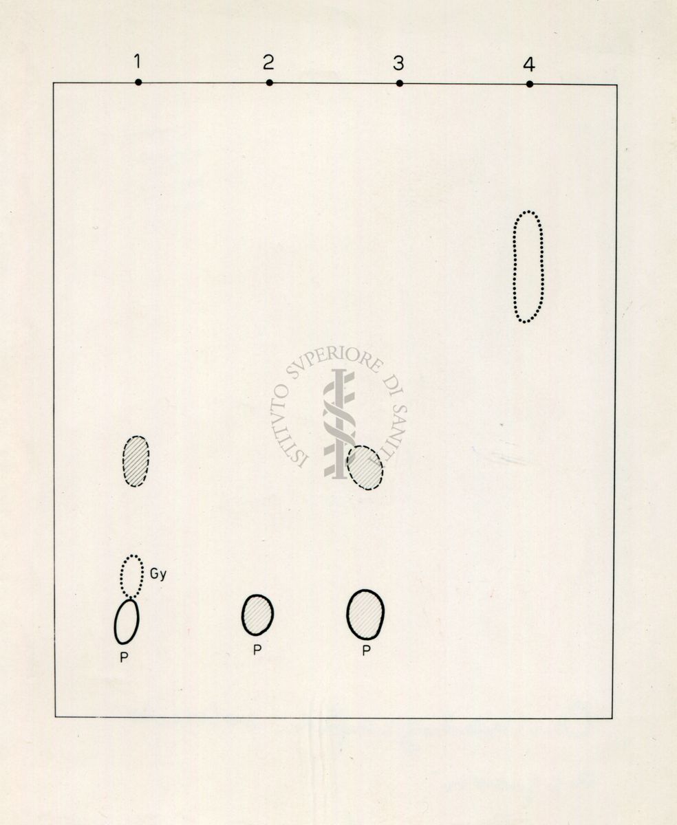 Cromatografia solventi acquosi