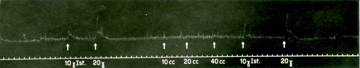 Tracciato che mostra l'azione delle acque minerali di Fiuggi sulla vescica del coniglio