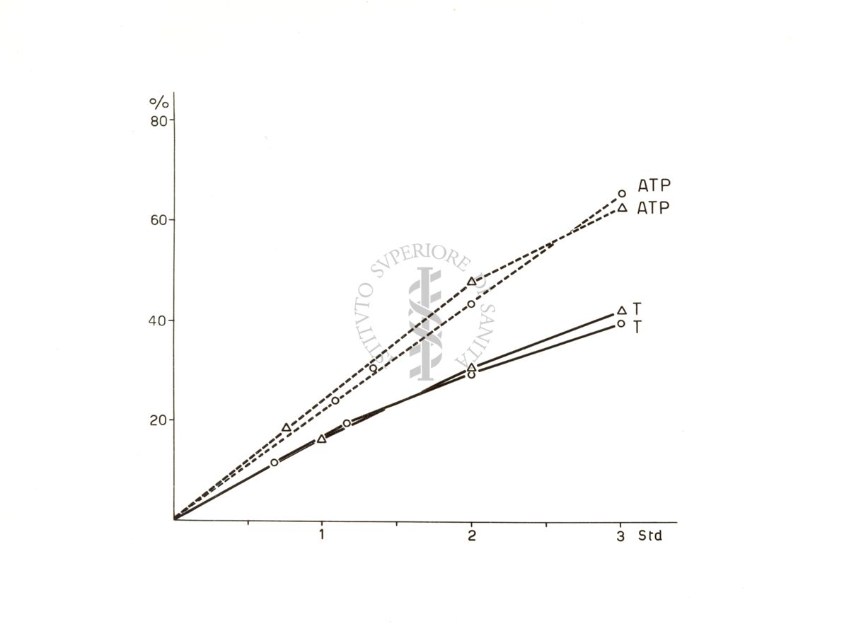 Grafico riguardante l'acetilazione nel preparato di fegato di ratto