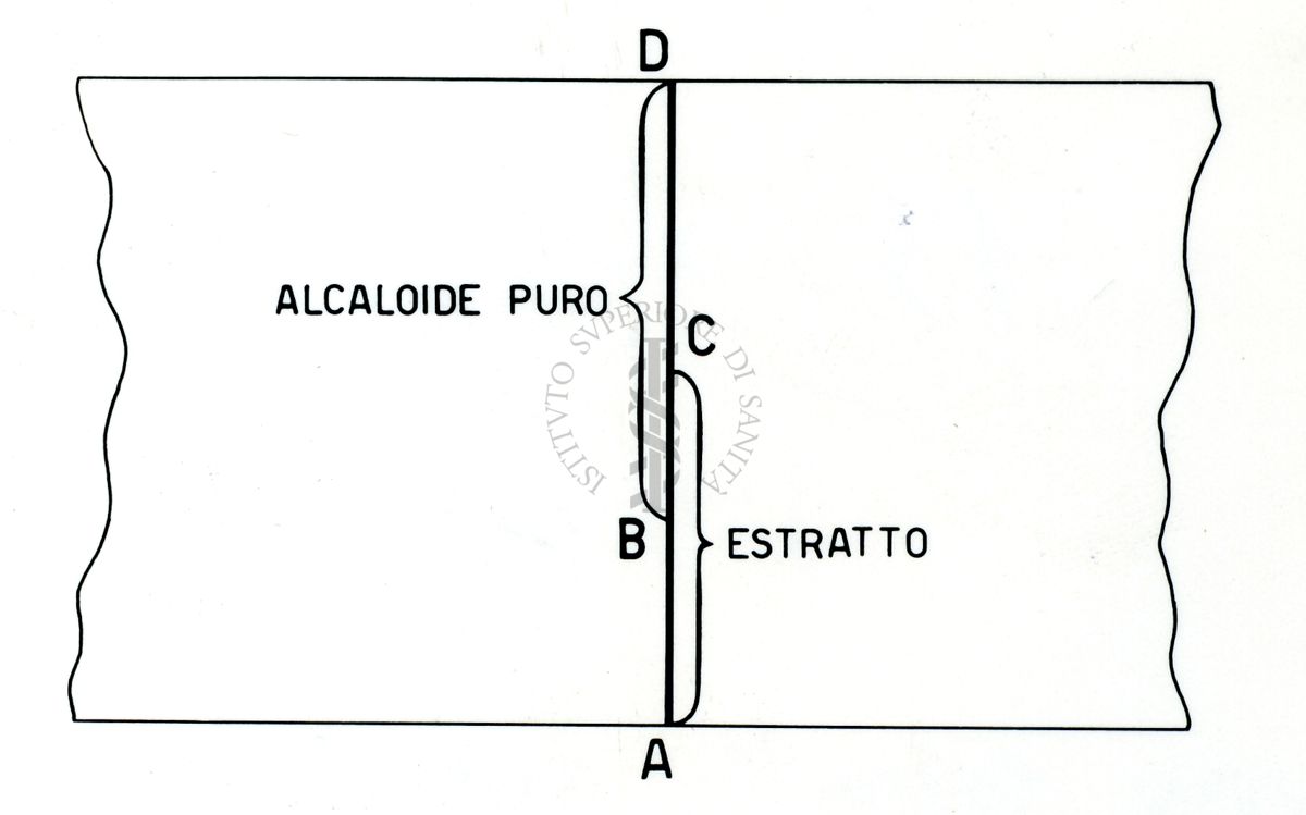 Schemi dei lavori degli estratti alcaloidi