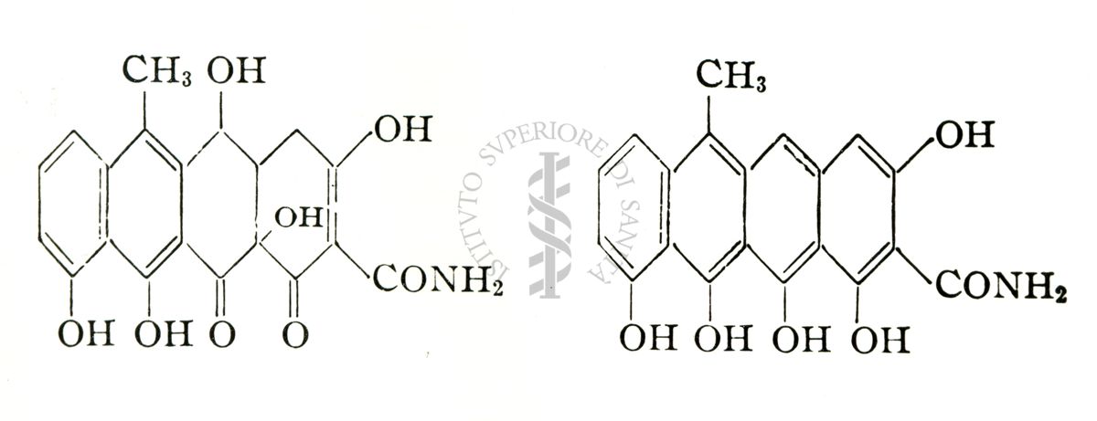 The structure of Terramycin