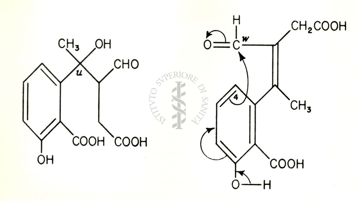 The structure of Terramycin