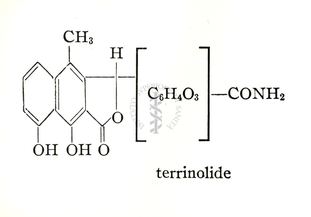 The structure of Terramycin